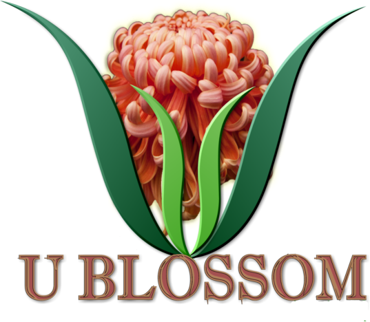 U Blossom LLC 
